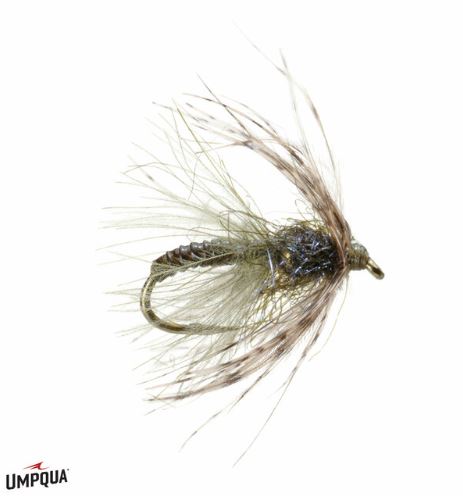 Swing Caddis (Tung) - Olive