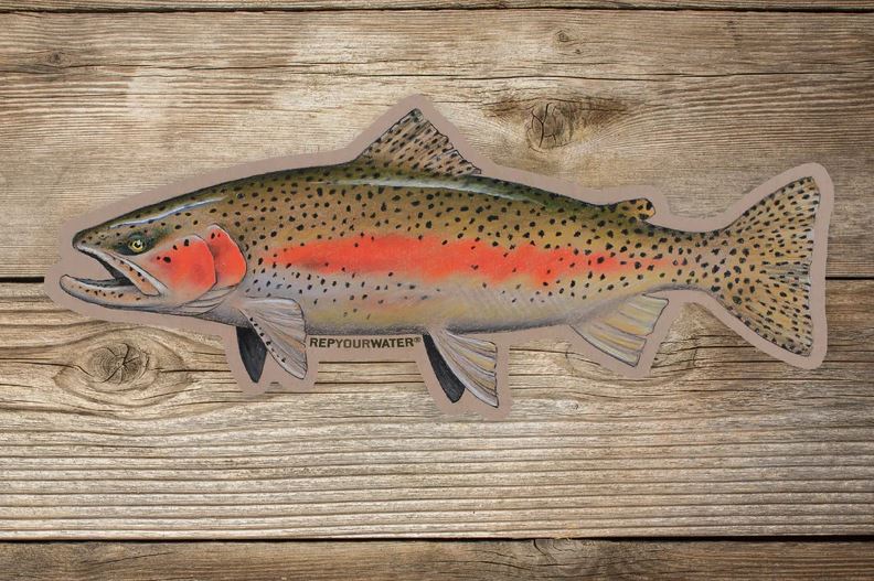 Rep Your Water - Wild Rainbow Artist's Reserve Sticker - Medium