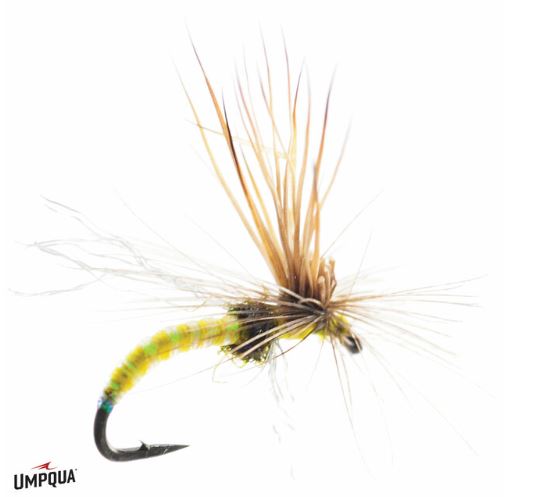 Mercer's Missing Link - Yellow