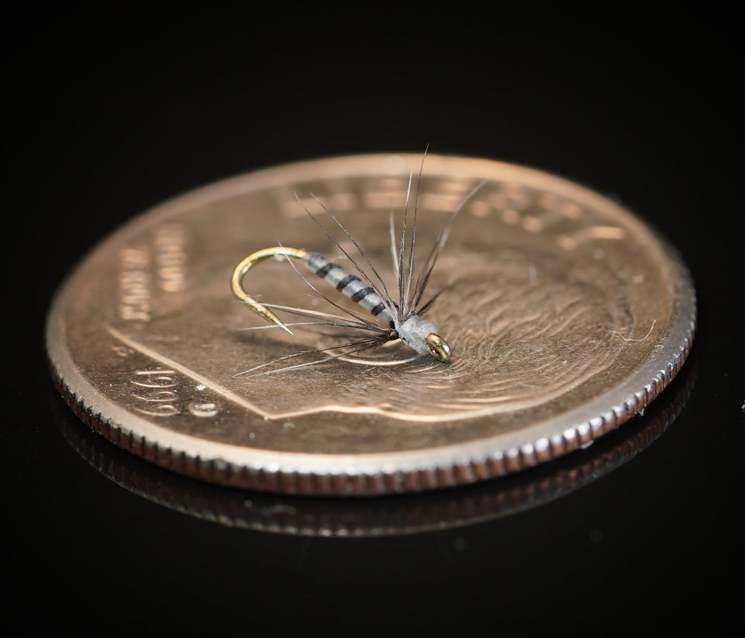 Size 24 Soft Hackle