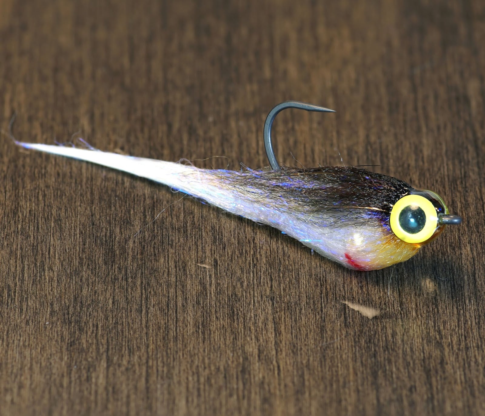 Minnow Fish Baby