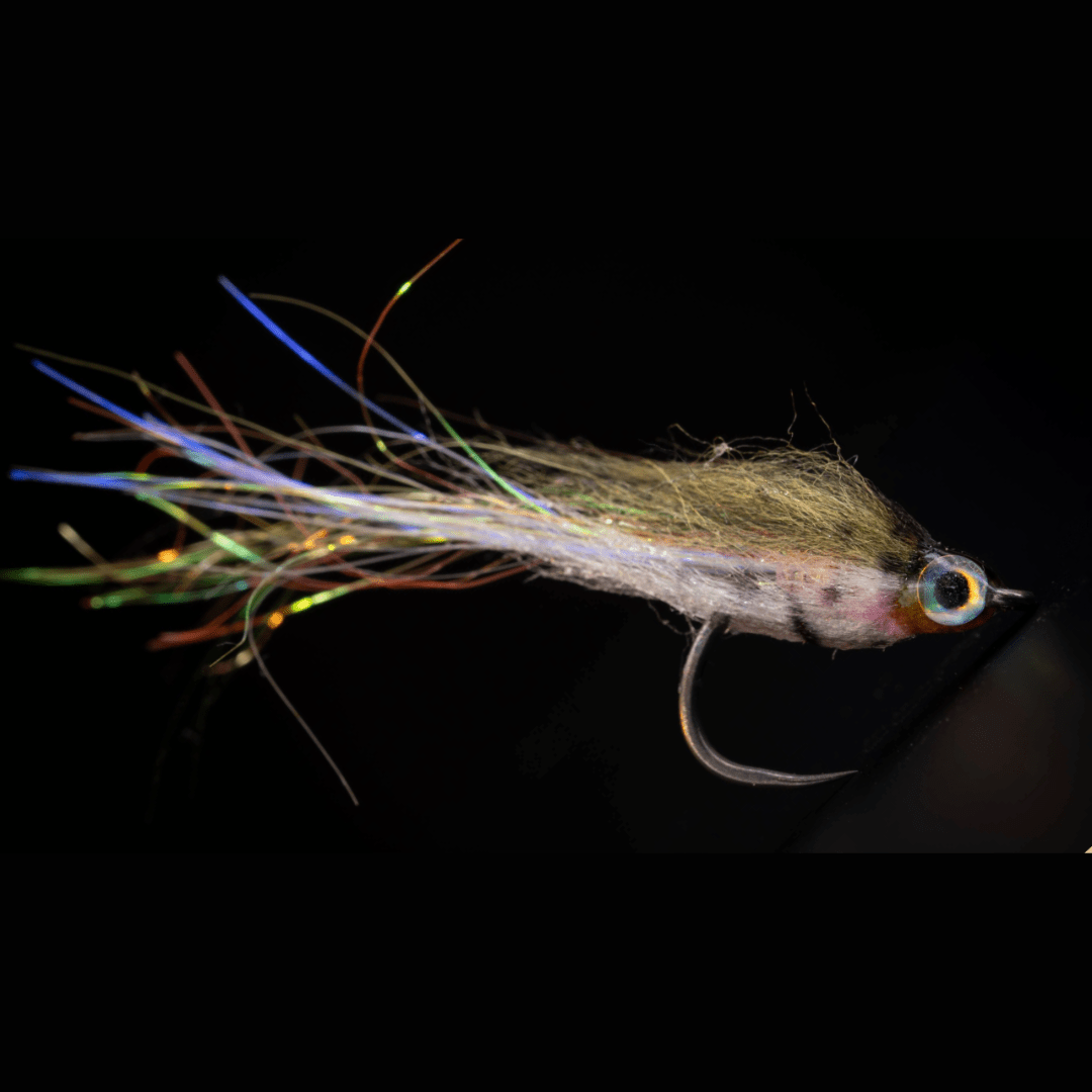 Baby Rainbow Ghost Minnow - Fly Fish Food