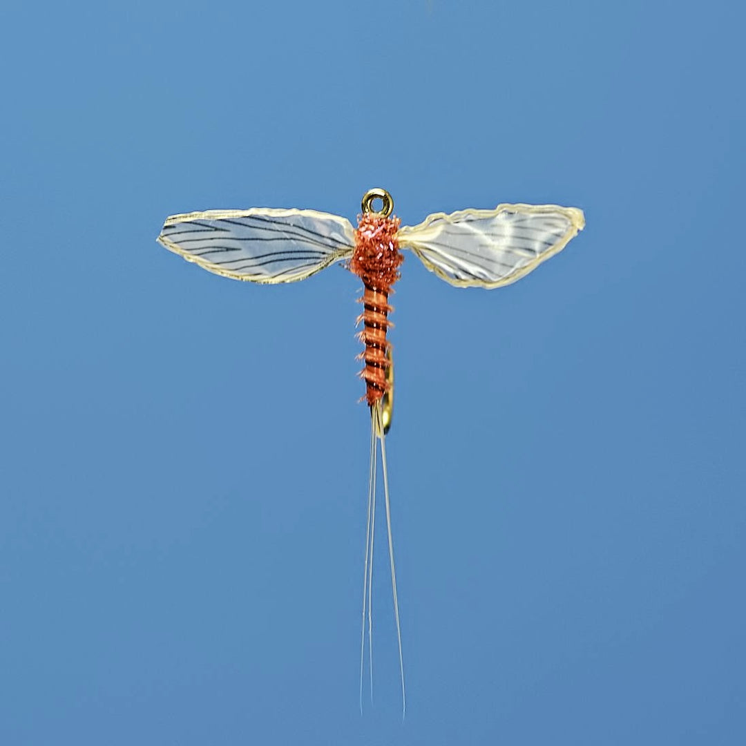 Tying with Biots