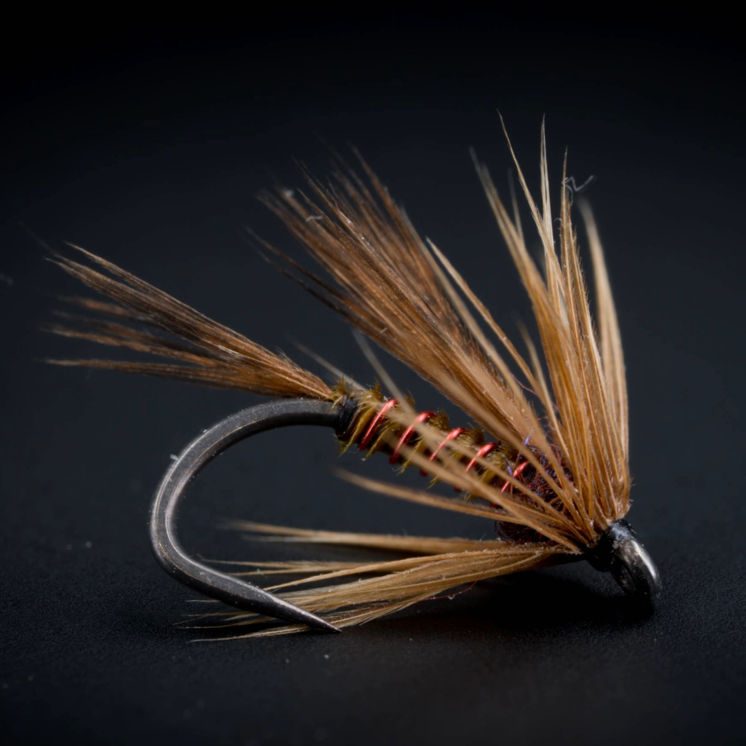 Red Rib Soft Hackle