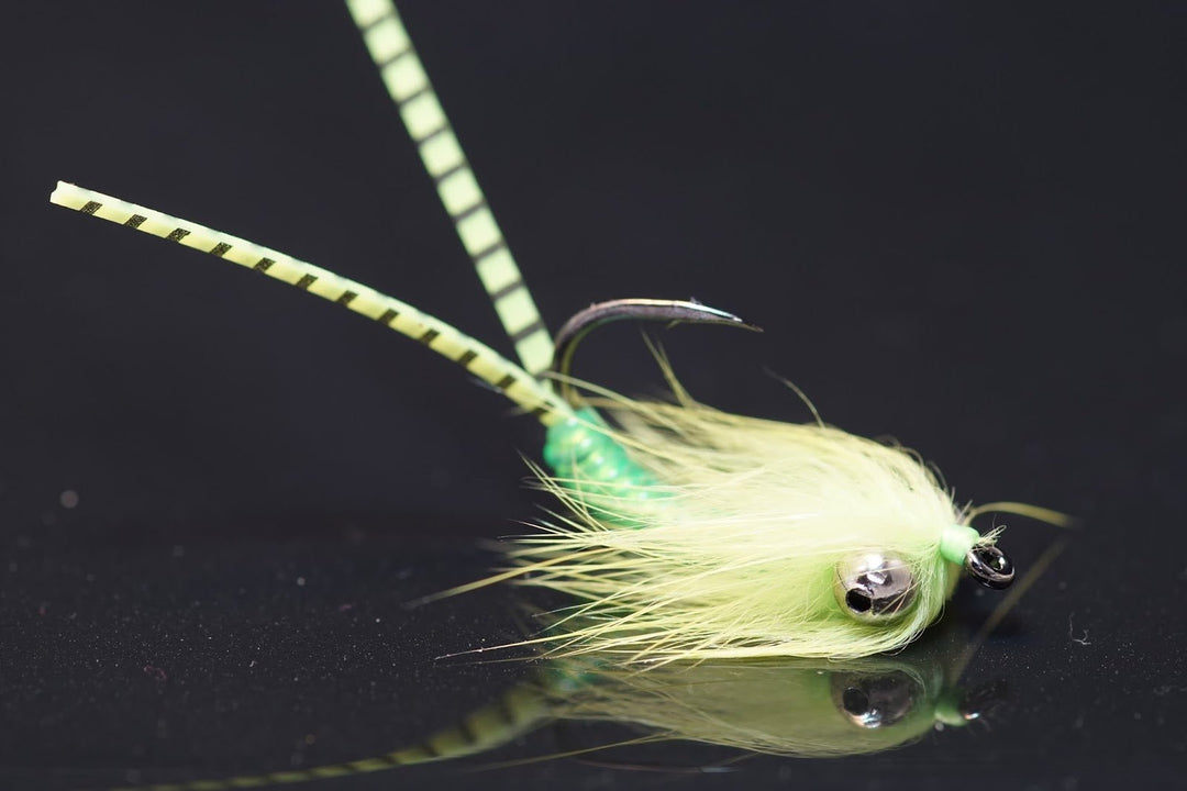 Bugle Buddy - Carp Fly - Fly Fish Food