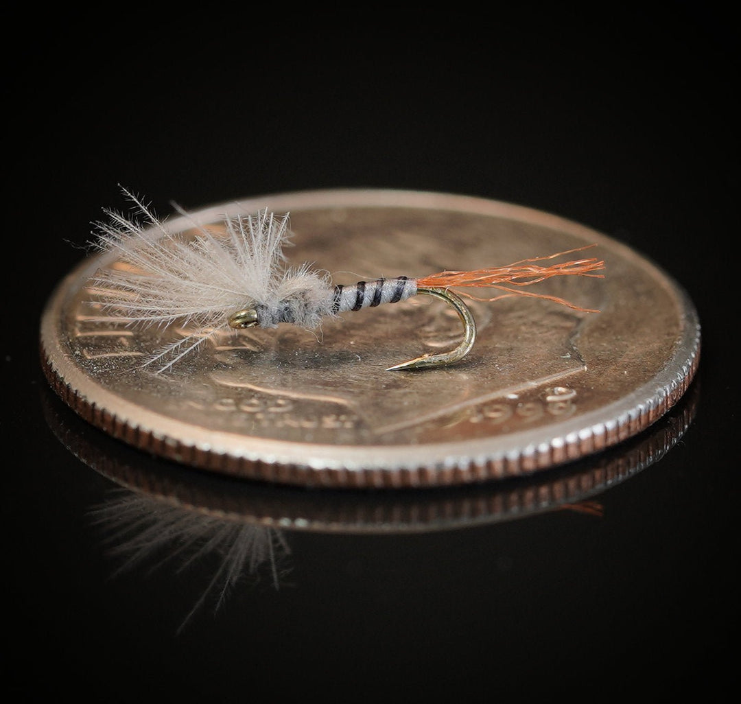 CDC Midge Emerger - Fly Fish Food