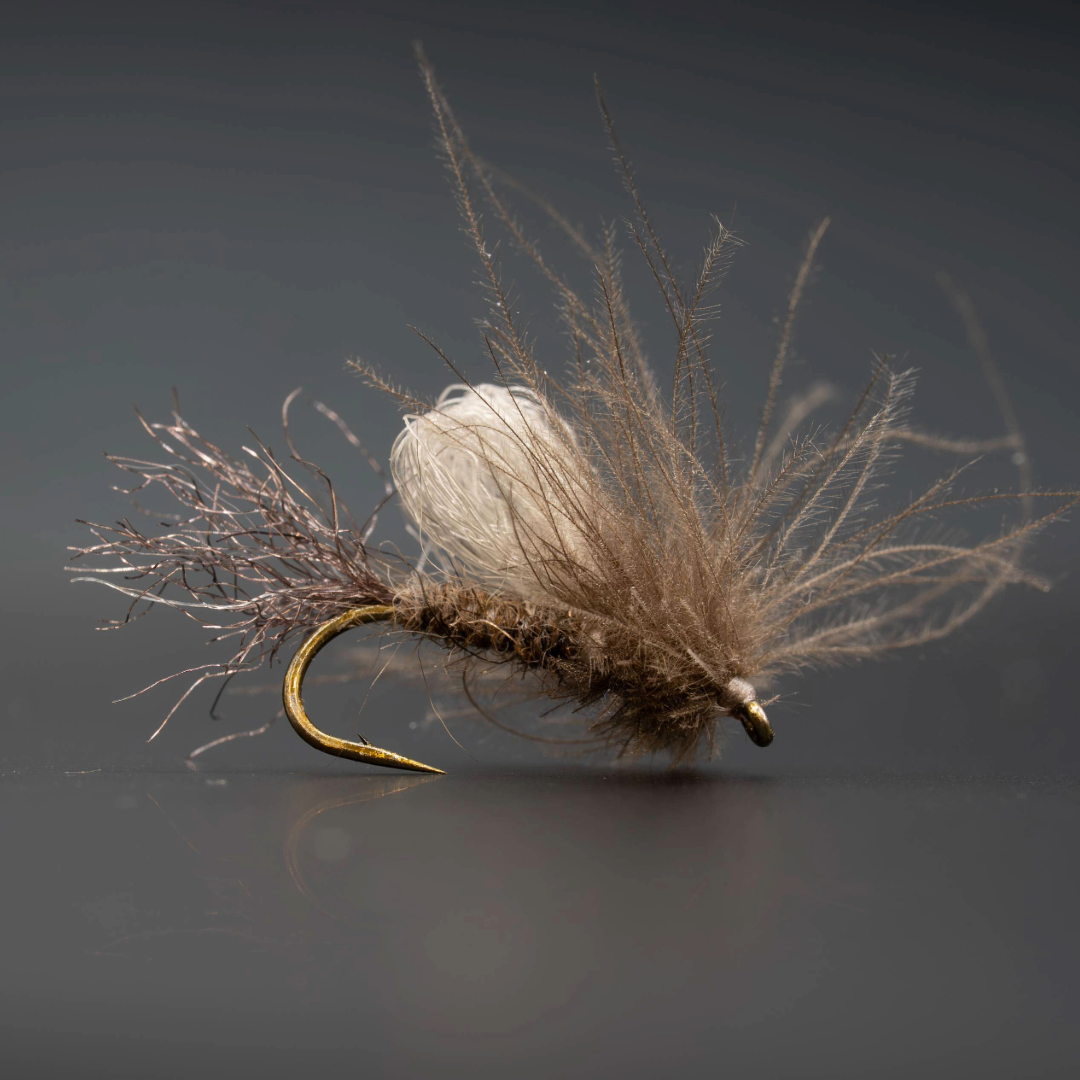 CDC Iris Caddis