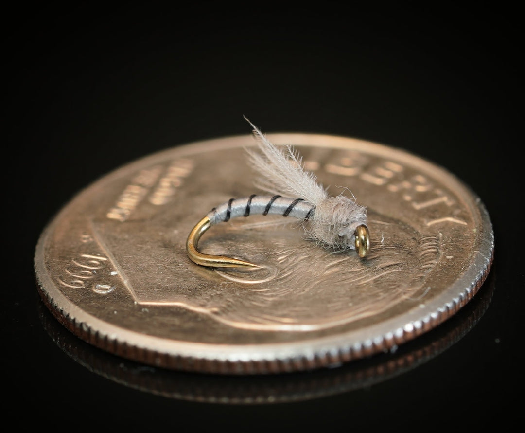 CDC Midge Pupa