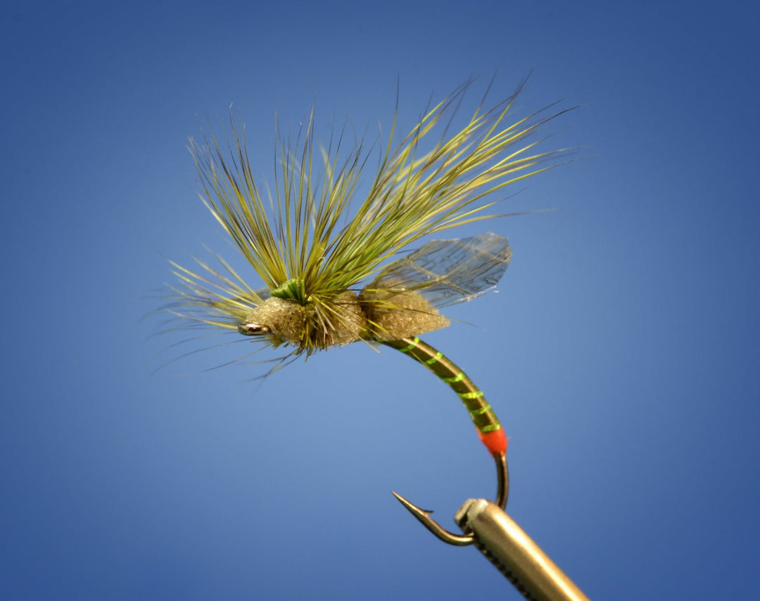 Fripple Drake - Fly Fish Food