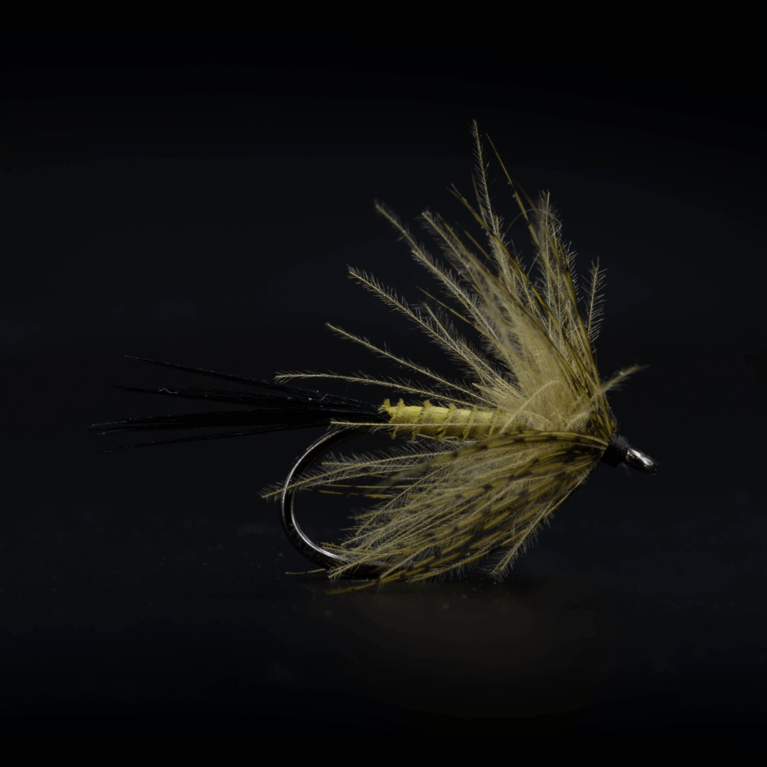 Green Drake Soft Hackle - Fly Fish Food