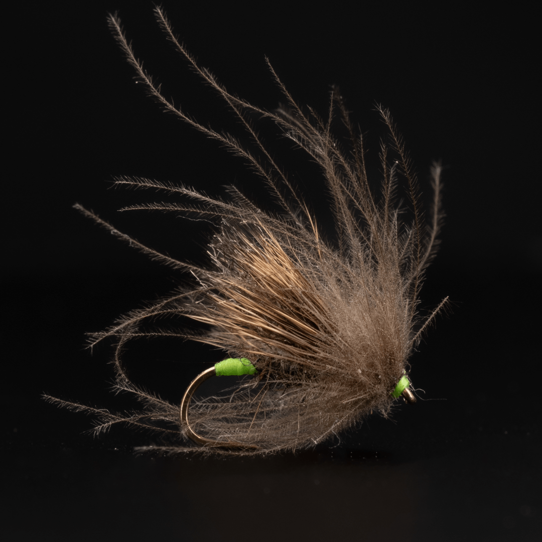 Dusty Old Bat Caddis - Fly Fish Food