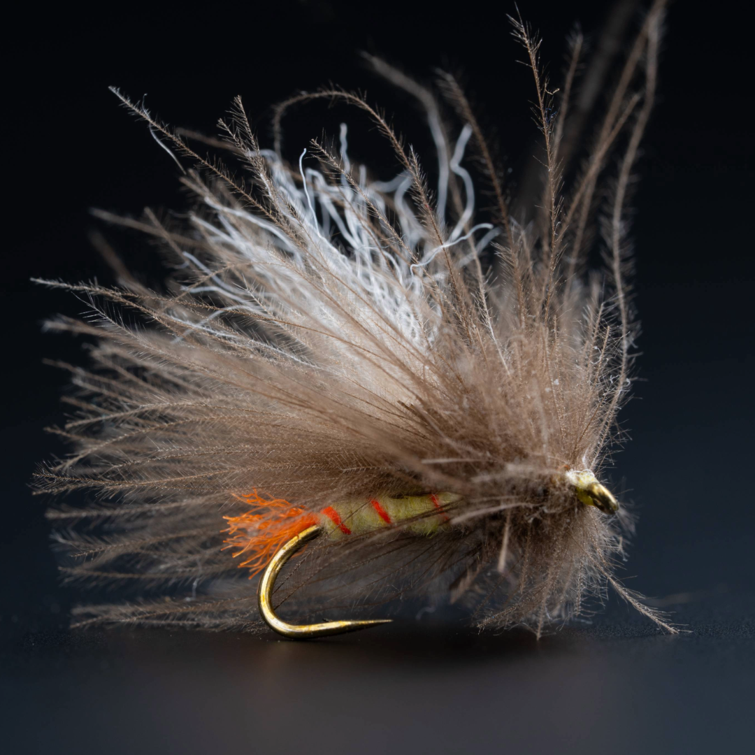 Egan's Corn Fed Sally 2.0