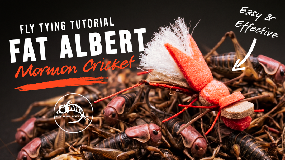 Fat Albert Mormon Cricket