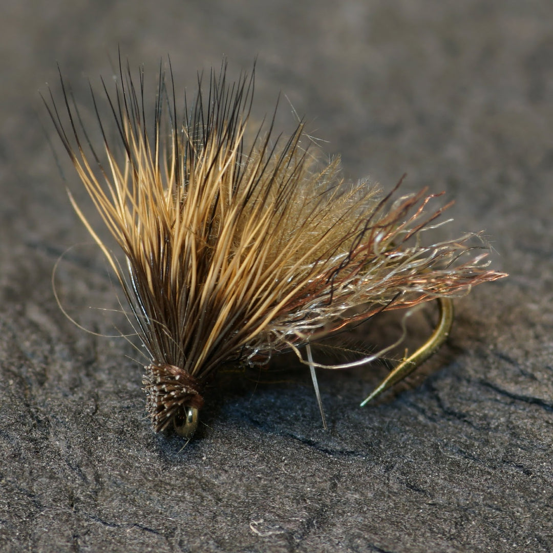 Fluttering Caddis