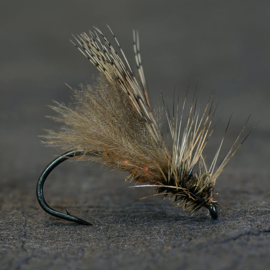 Henry's Fork Caddis