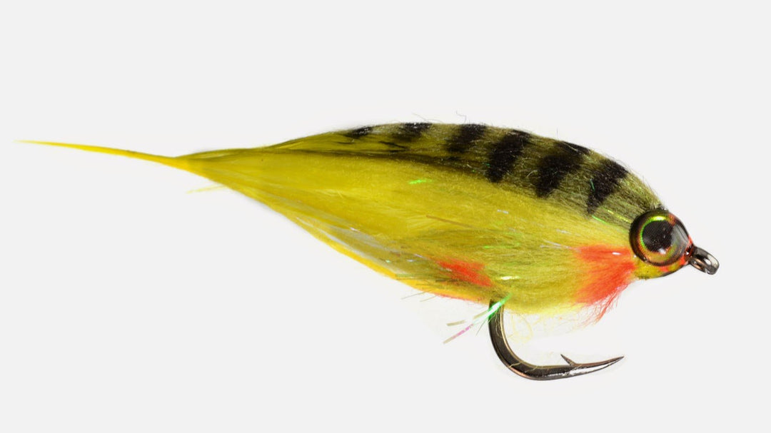 Low Fat Minnow Perch - Fly Fish Food