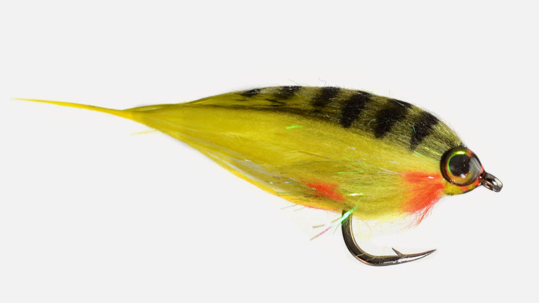 Low Fat Minnow Perch