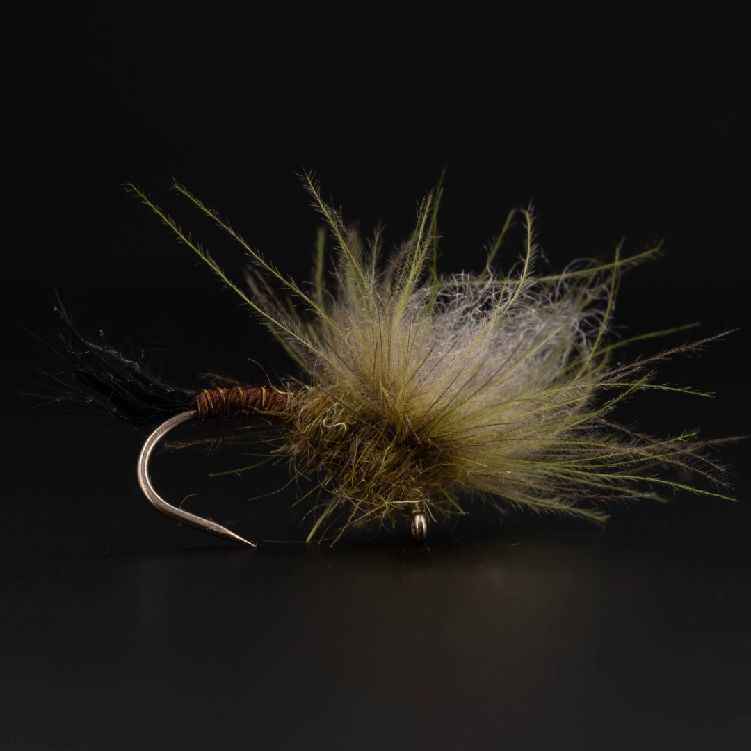 Medusa Green Drake