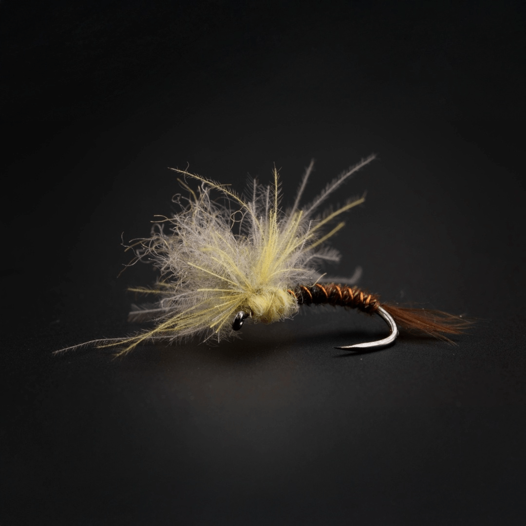 Medusa PMD Emerger - Fly Fish Food
