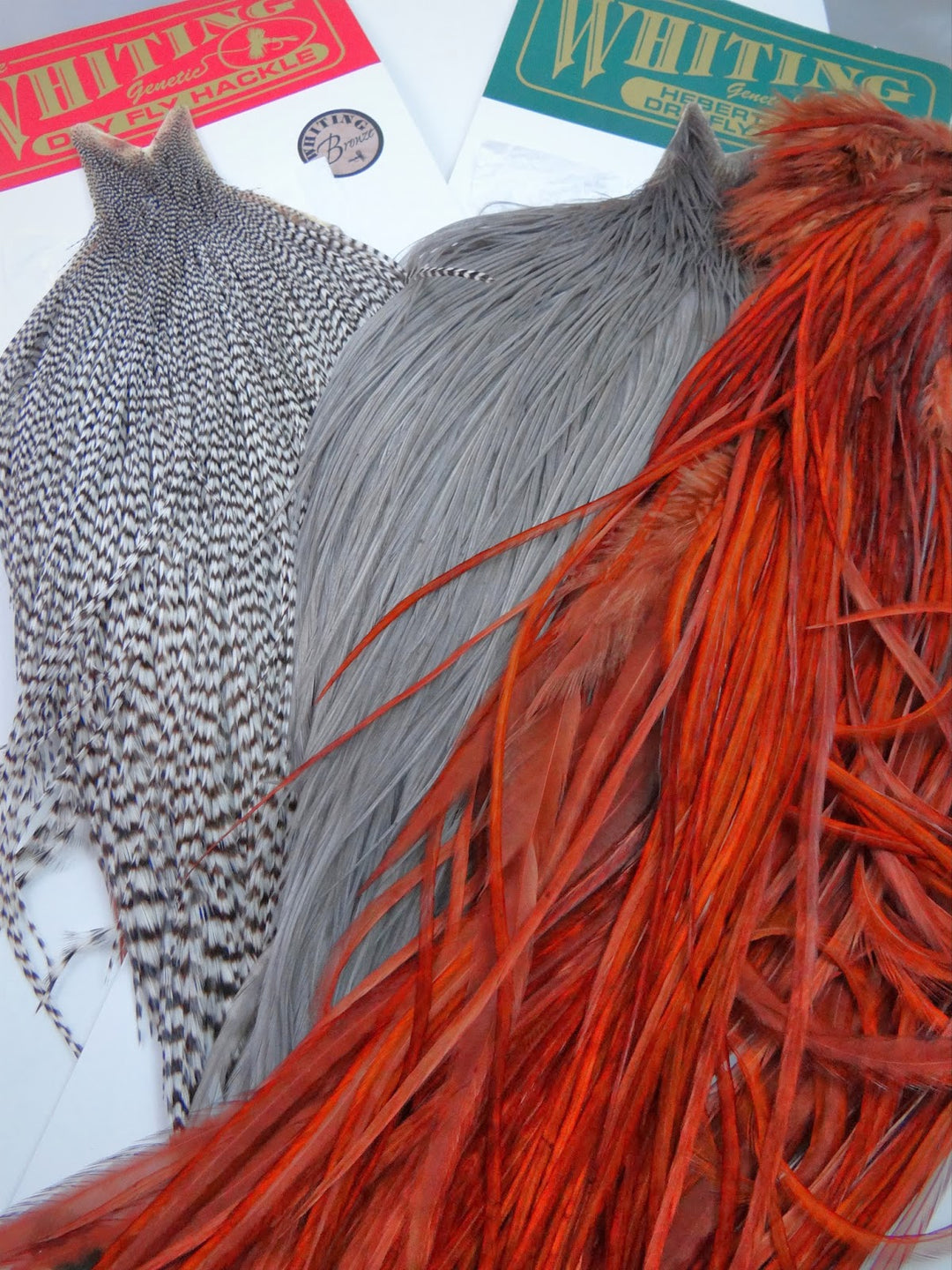 Hackle Colors to Rule Them All