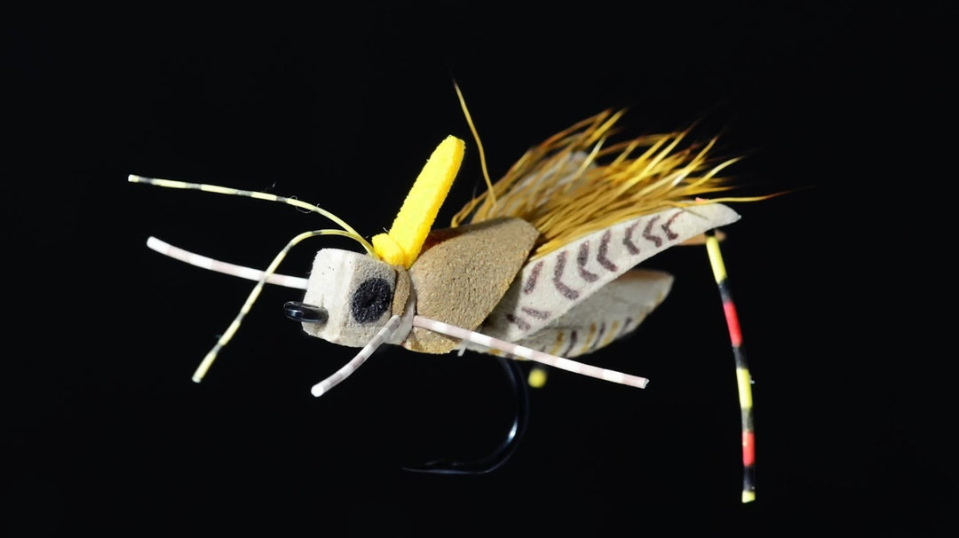 Project Hopper - Fly Fish Food