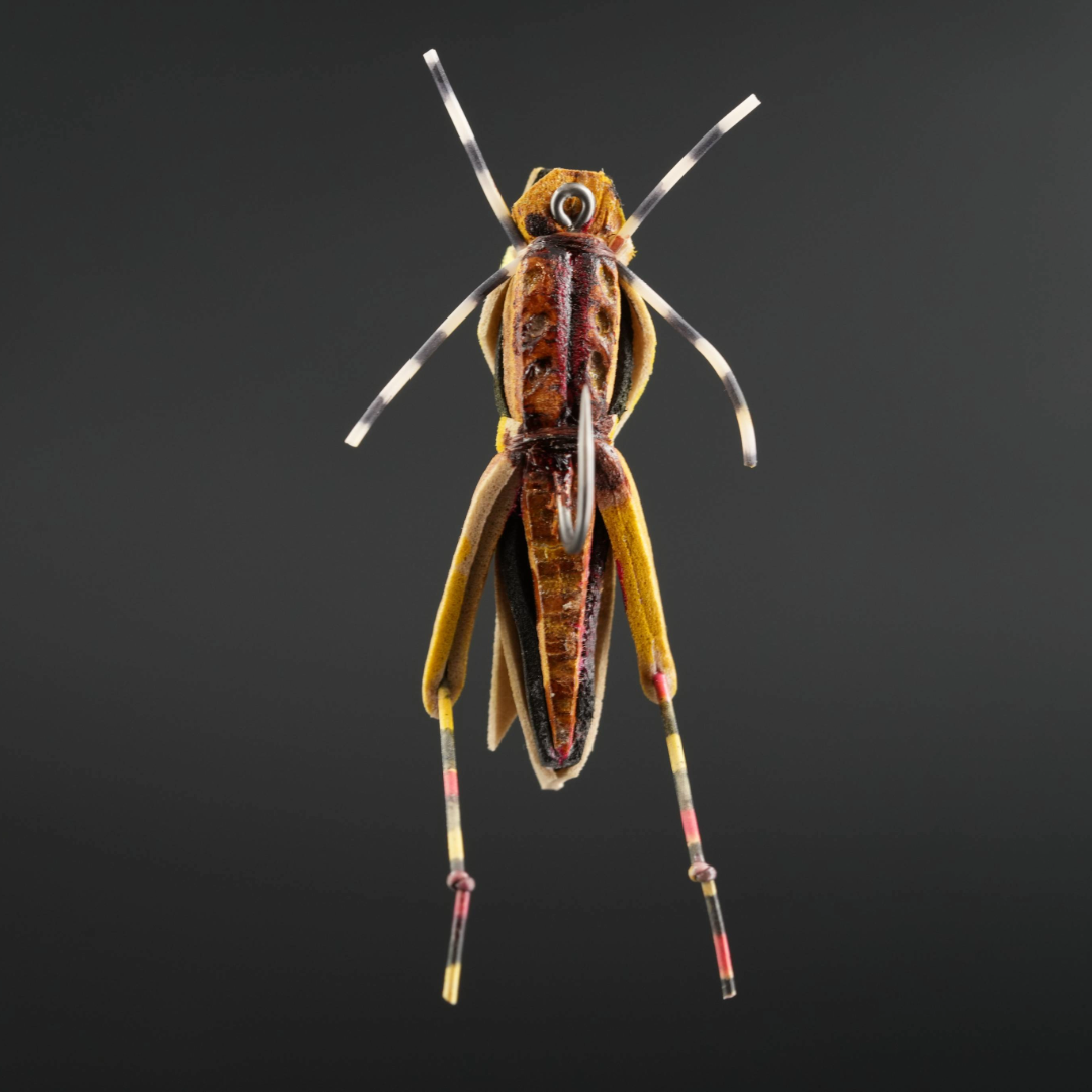 Project Hopper 3.0
