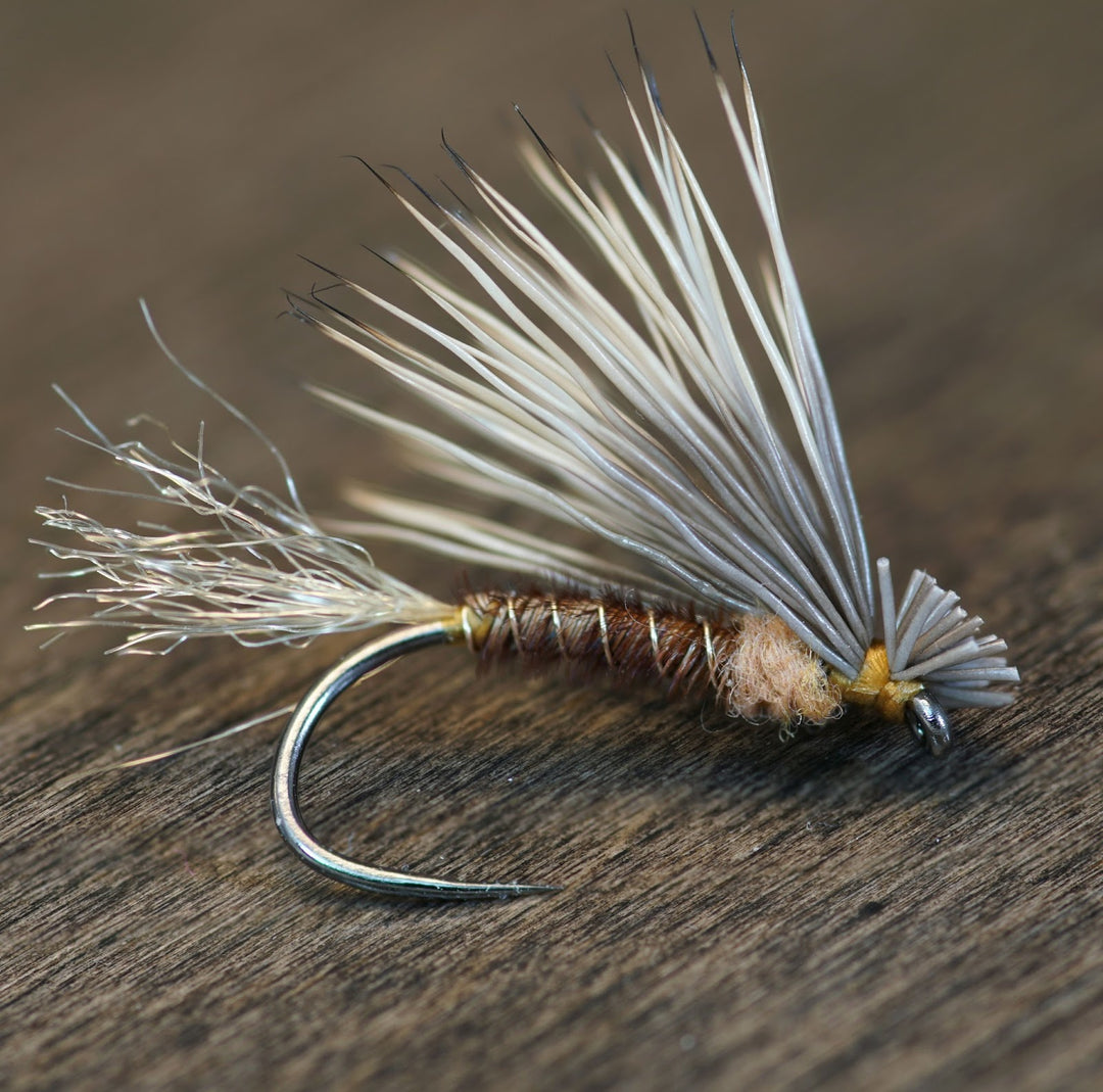 Pheasant Tail X-Caddis