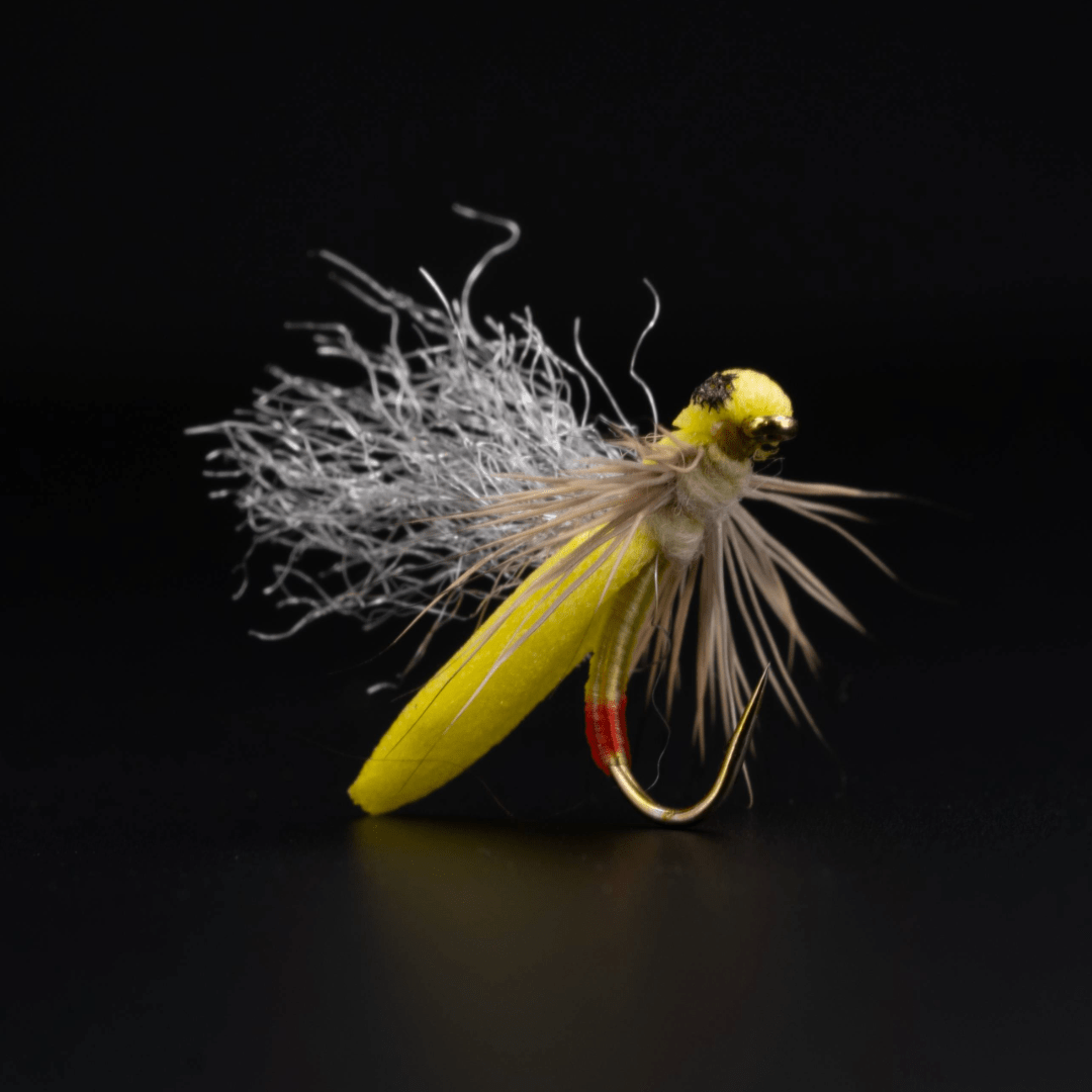 Pablo's Sally - Fly Fish Food