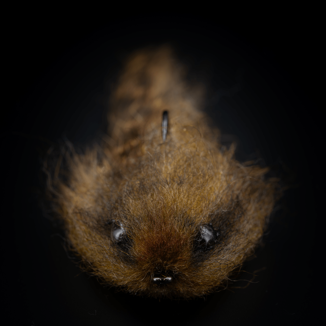 Project Sculpin - Fly Fish Food