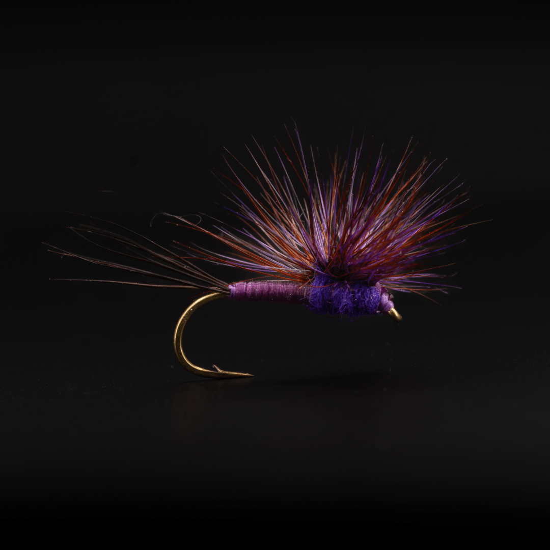 Purple Haze Hackle Stacker - Fly Fish Food