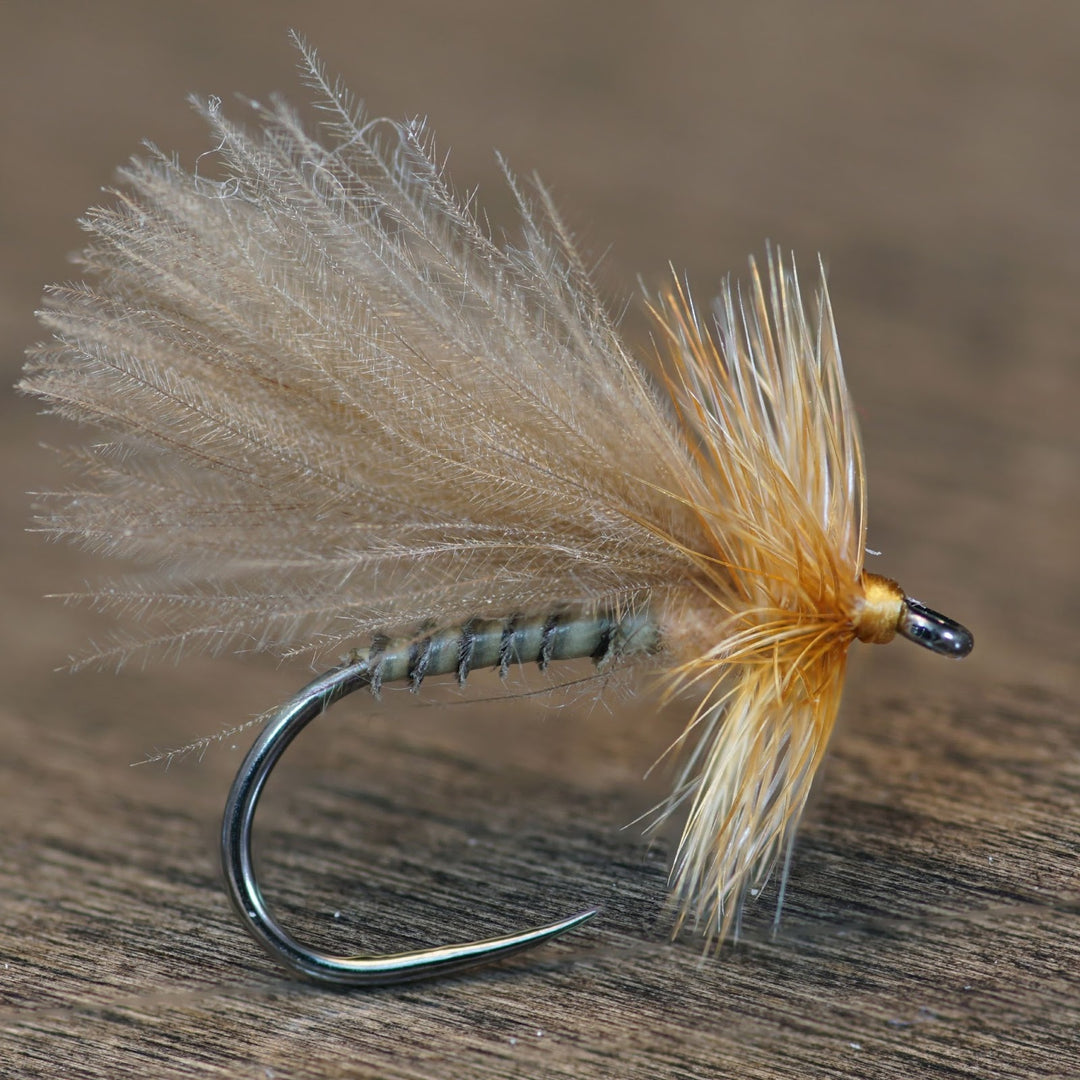 CDC Biot Caddis