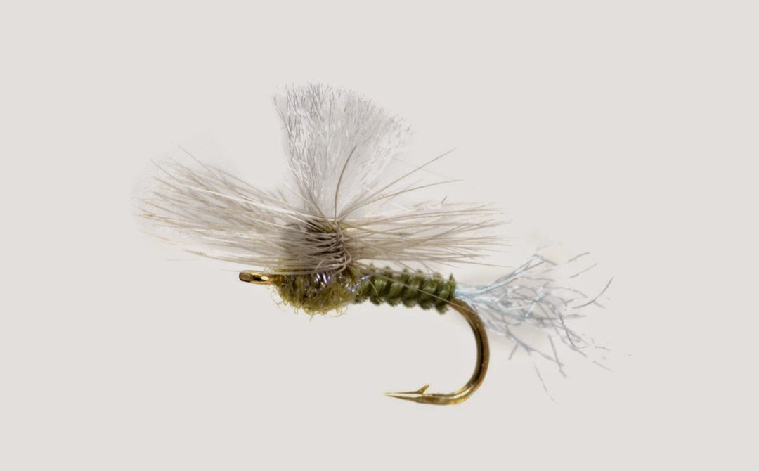 Real. Easy. Parachute. - Fly Fish Food