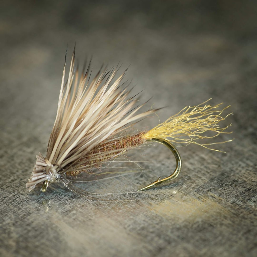 Soft Hackle X Caddis