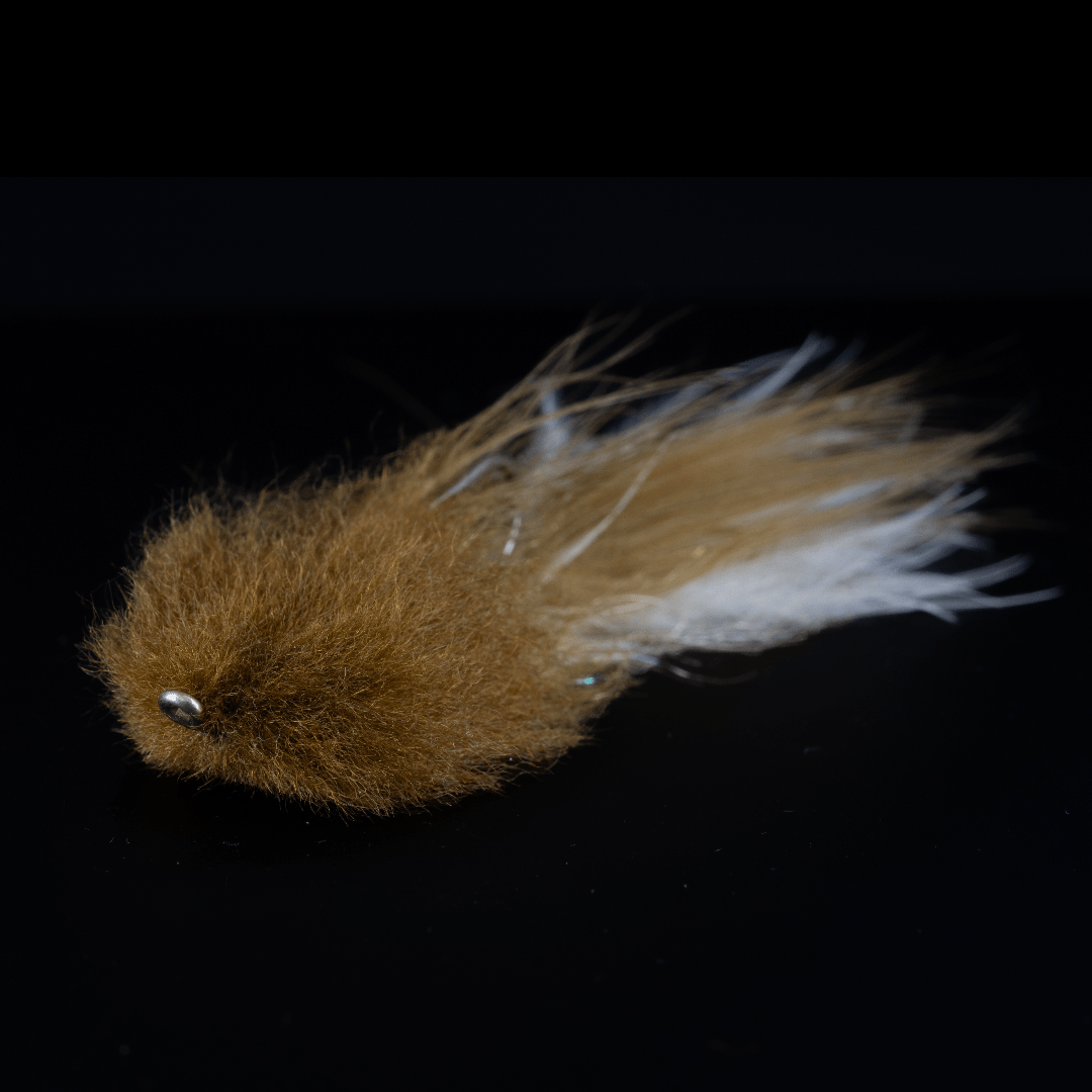 Scuba Steve - Fly Fish Food