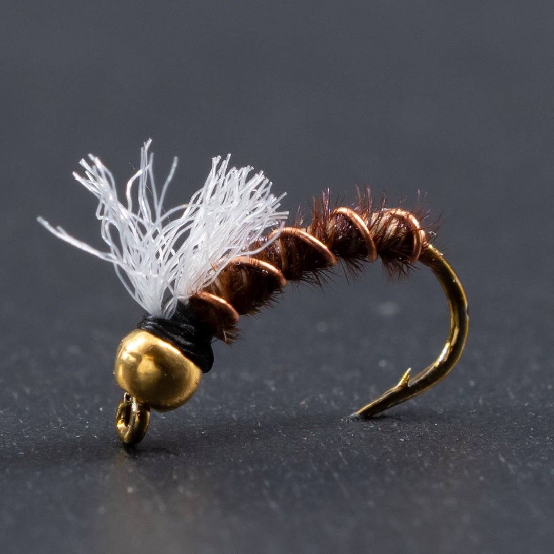 Shop Vac - Fly Fish Food