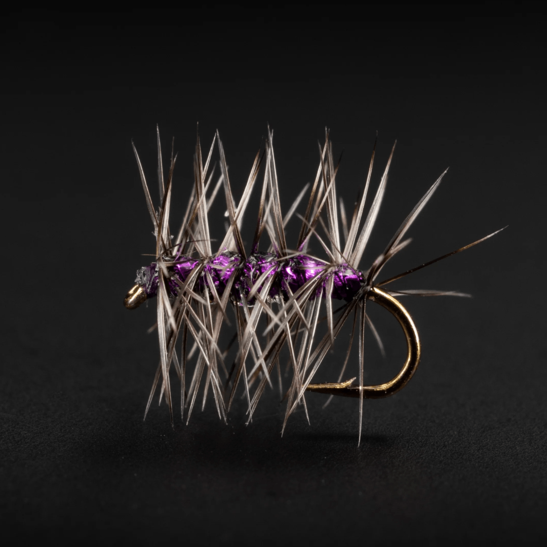 Sparkle Gnat - Fly Fish Food