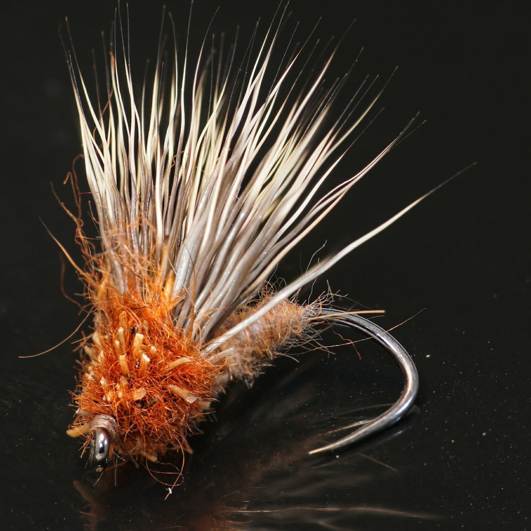 The Streaking Caddis