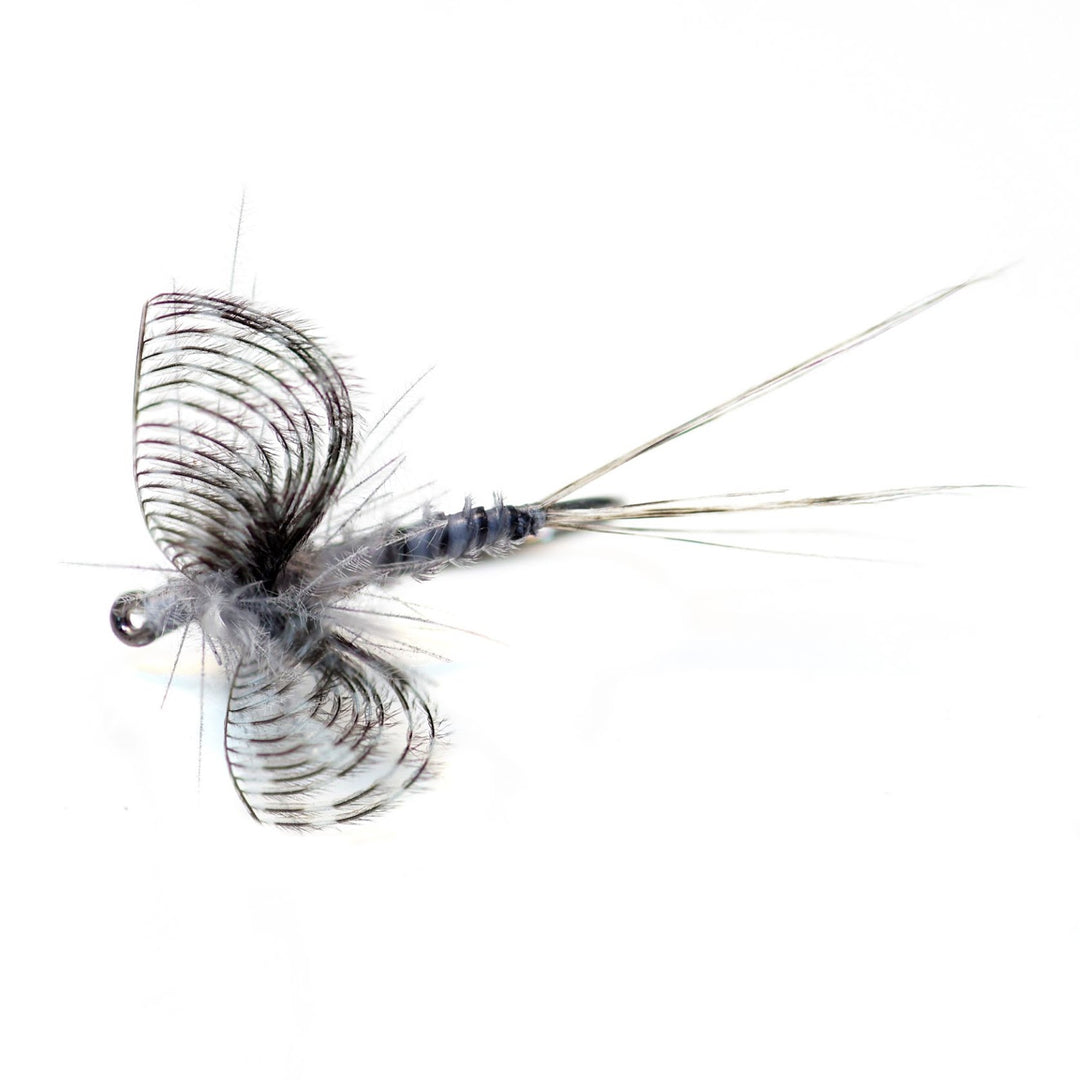 Wally Wing Callibaetis