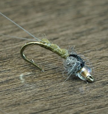 Wooley Baetis - Fly Fish Food