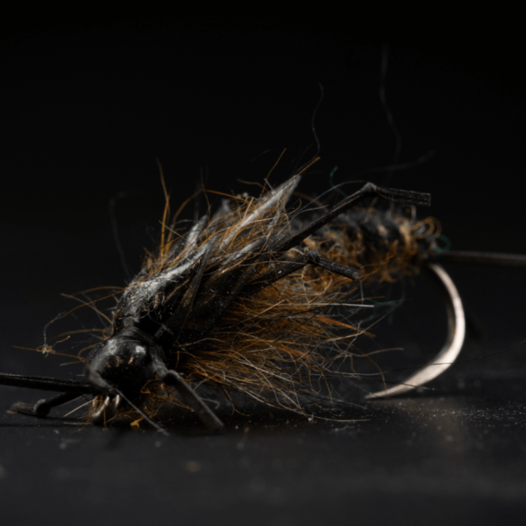 Woven Stonefly - Fly Fish Food
