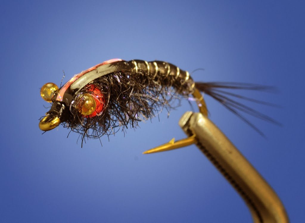 Chimera - Fly Fish Food