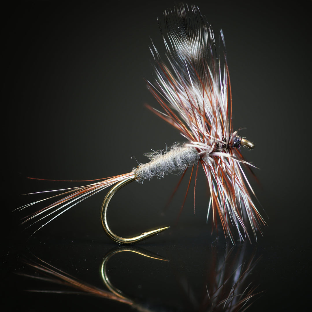 Mayflies - Fly Fish Food
