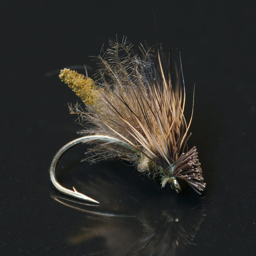 Caddis Flies - Fly Fish Food