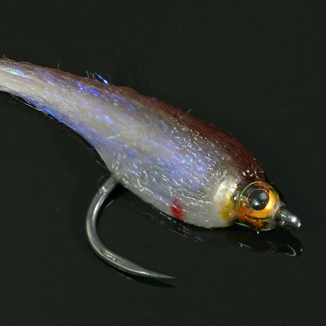 Baitfish - Fly Fish Food