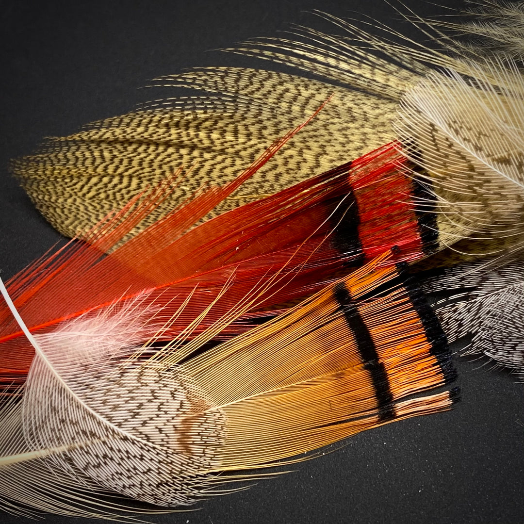 Misc Feathers - Fly Fish Food