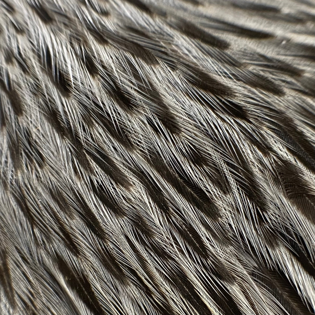 Soft Hackle Feathers - Fly Fish Food