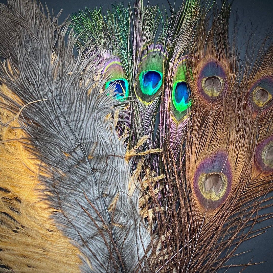 Peacock & Ostrich - Fly Fish Food