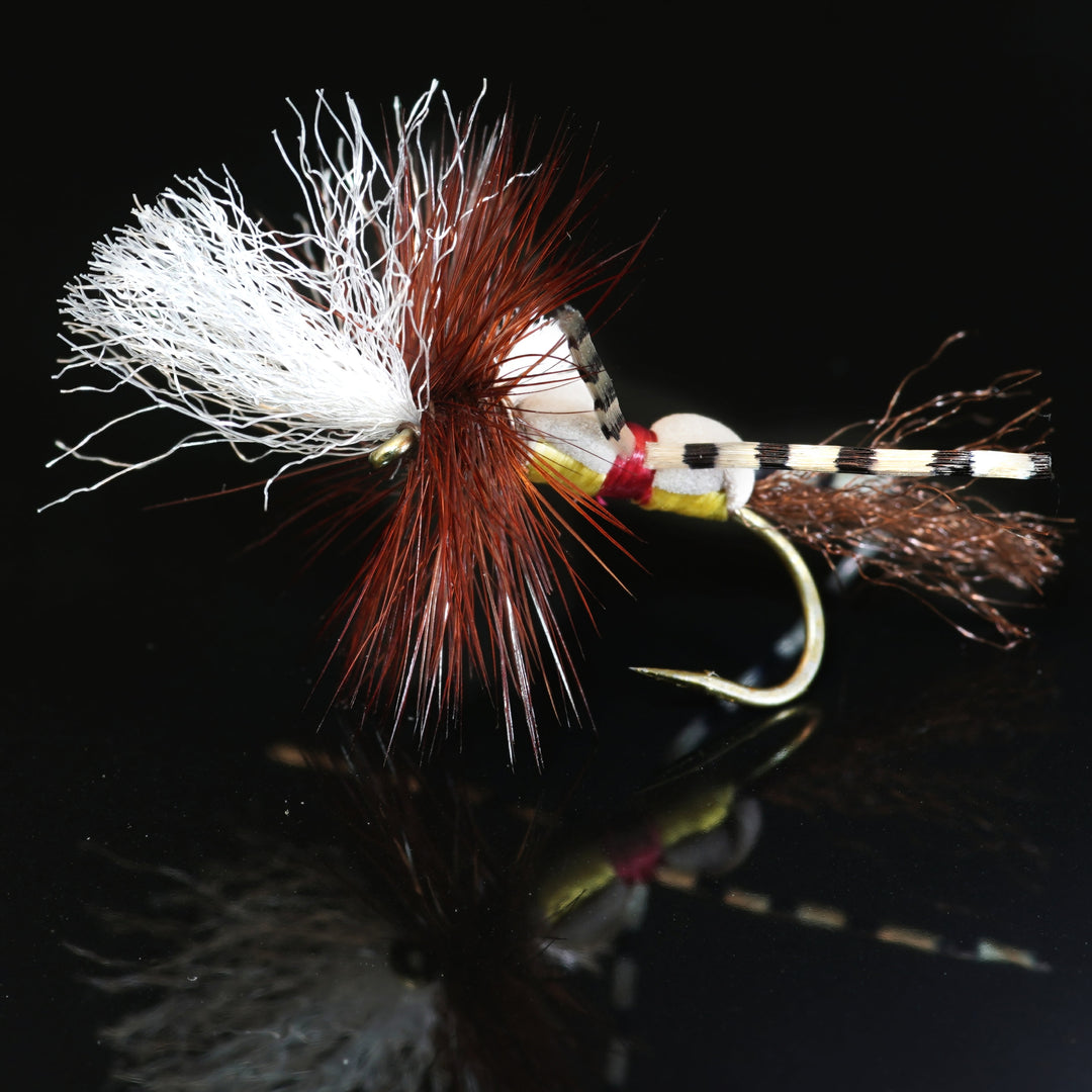 Attractors - Fly Fish Food