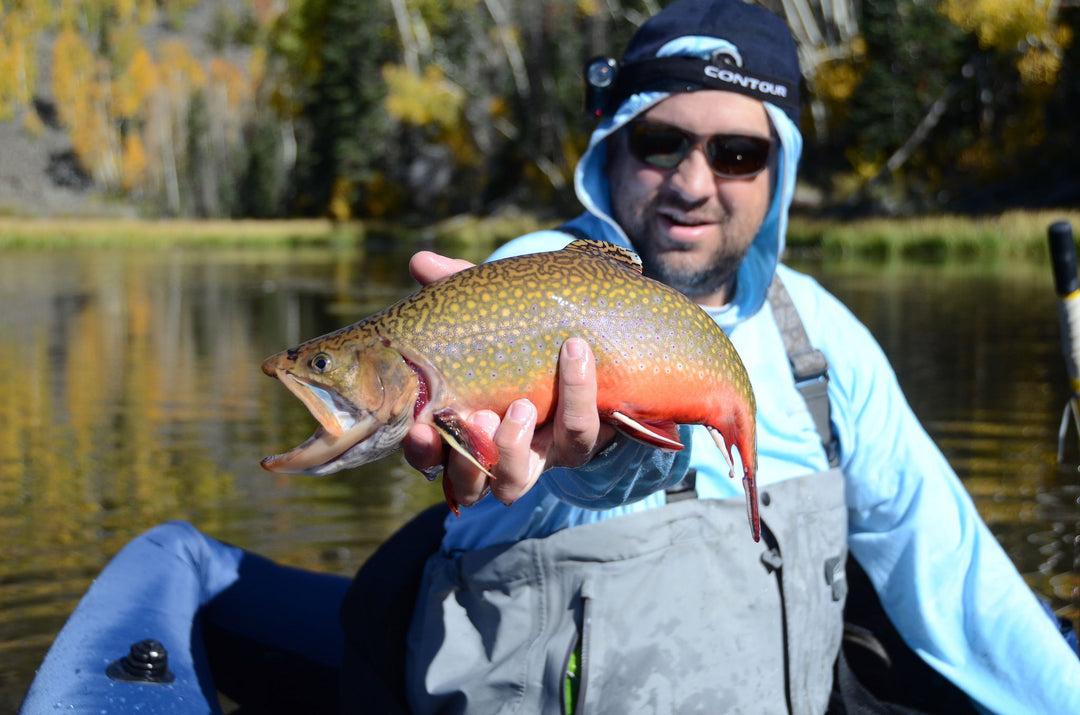 Cheech Favorites - Fly Fish Food