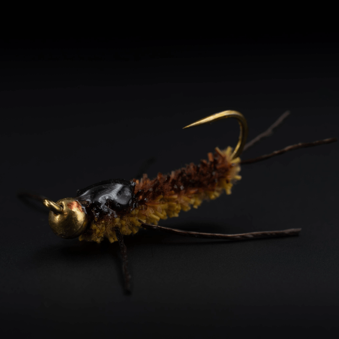 Chewy Stonefly - Fly Fish Food